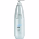 Освіжаючий шампунь Olorchee Ice Cool Shampoo 800 мл